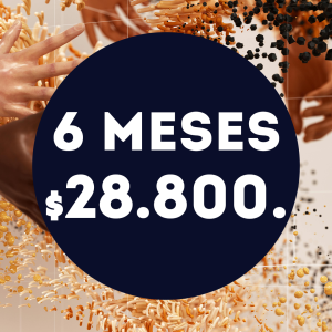 Contenido Premium 6 meses.