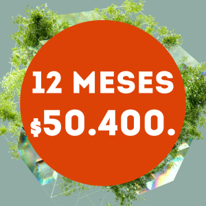 Contenido Premium 12 meses.